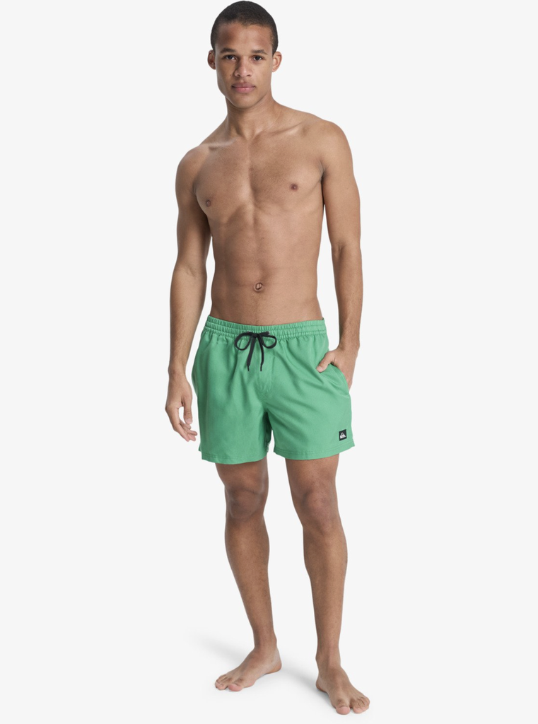 Bañador Quiksilver Everyday Deluxe 15" - Leprechaun (gnz0)