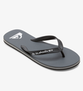 Chanclas Quiksilver Molokai Core - Grey
