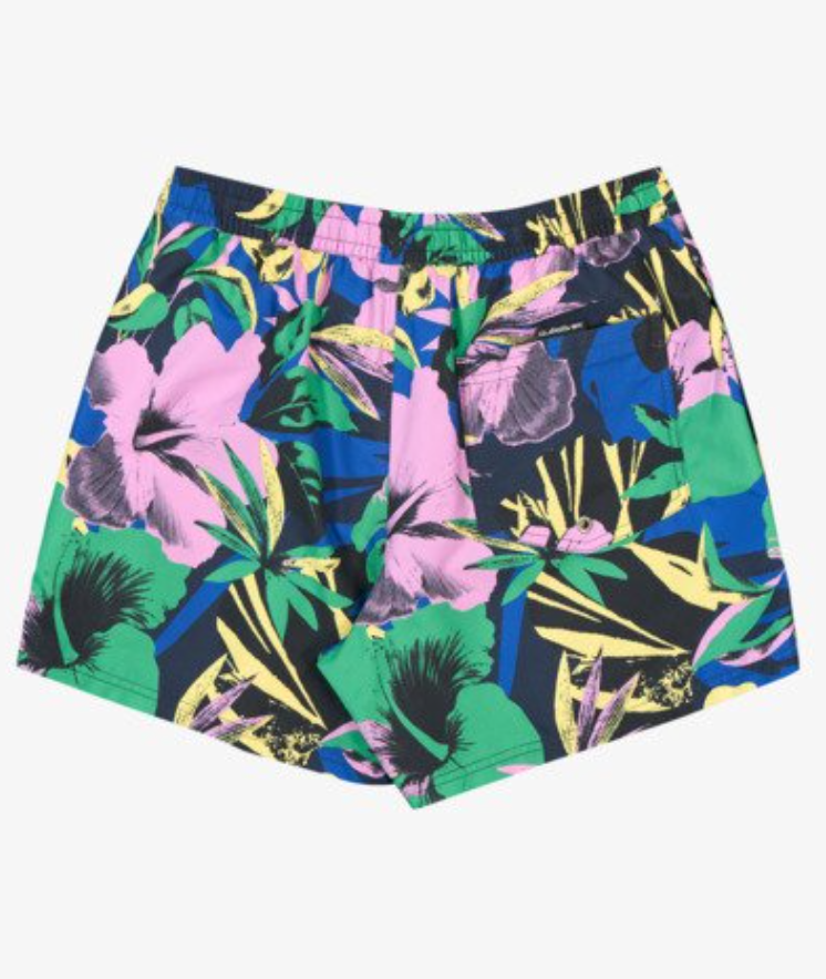 Bañador Quiksilver Everyday Printed Volley 15" - Dark Navy