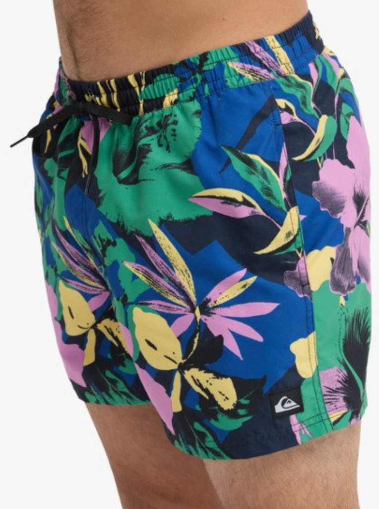 Bañador Quiksilver Everyday Printed Volley 15" - Dark Navy