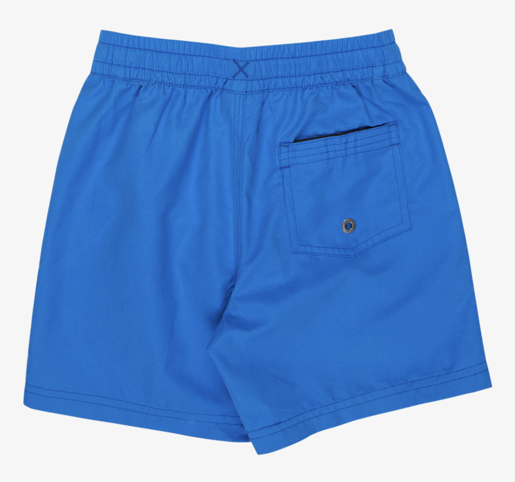 Bañador Quiksilver Everyday Volley 12" (2-7 años) - Nebulas Blue (bqv0)