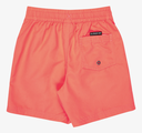 Bañador Quiksilver Everyday Volley 12" (2-6 años) - Fiery Coral (mkz0)