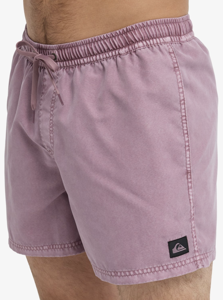 Bañador Quiksilver Everyday Surfwash Volley 15" - Grape Shake (pmr0)