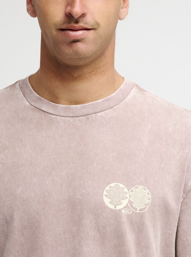 Camiseta Quiksilver Balance - Pine Bark (tnd0)