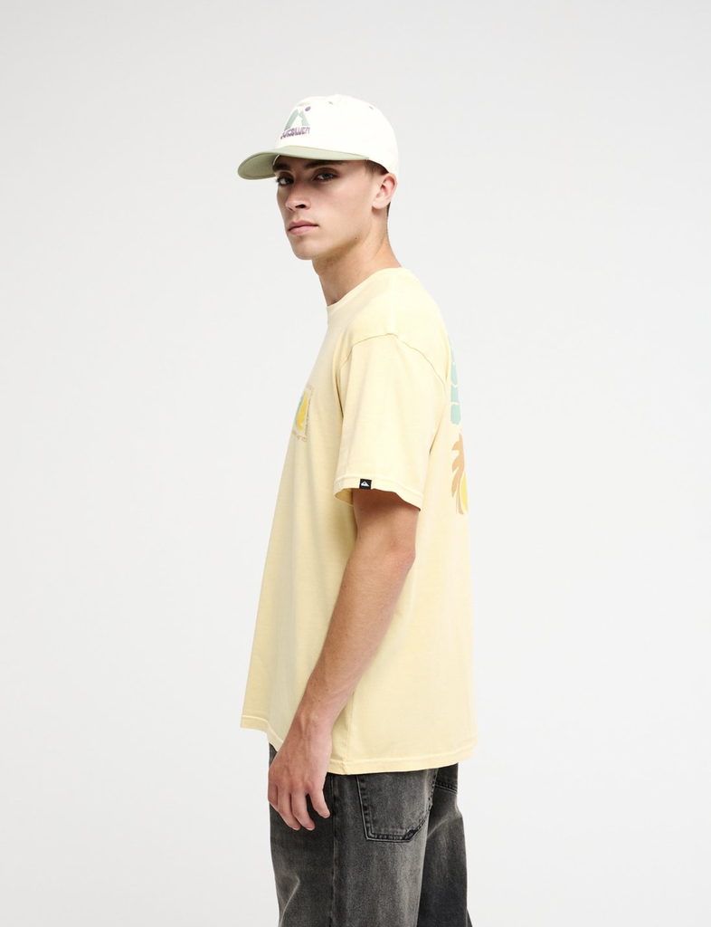 Camiseta Quiksilver Vibes - Straw (yfm0)