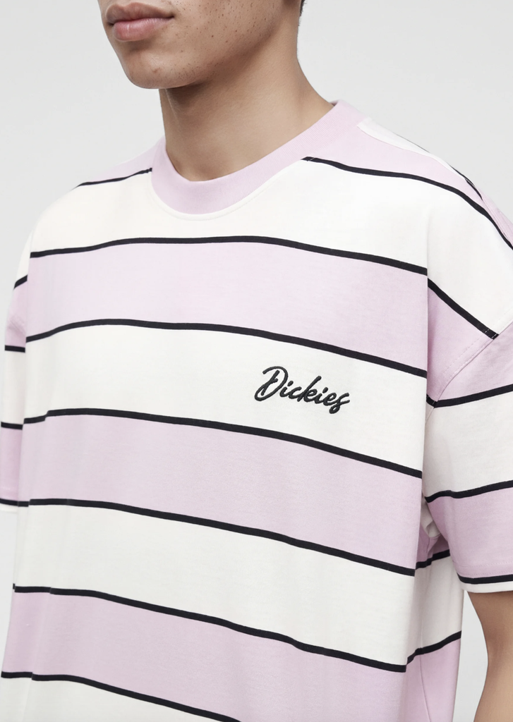 Camiseta Dickies Embroidery Stripe - Ecru