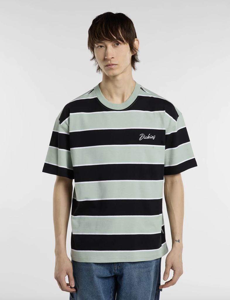 Camiseta Dickies Embroidery - Jadeite