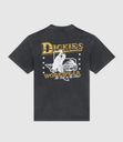 Camiseta Dickies Gainesville - Black