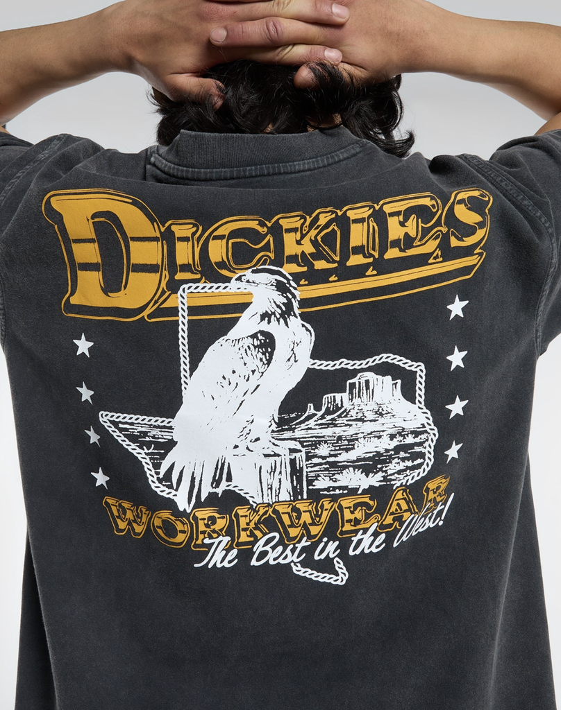 Camiseta Dickies Gainesville - Black