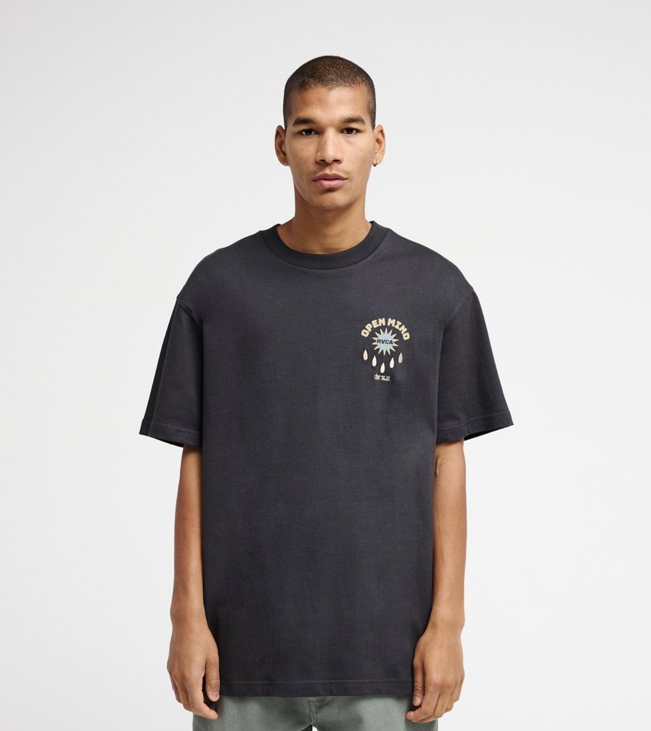 Camiseta RVCA The Stars - Washed Black