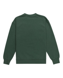 Sudadera Element Cornell 3.0 - Trekking Green (TKR)