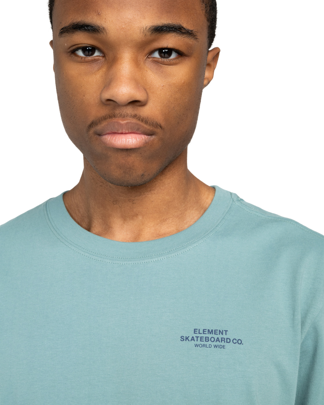 Camiseta Element Skateboard Co - Trellis