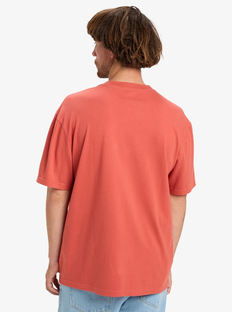 Camiseta Quiksilver Salt Water - Mineral Red (mmz0)