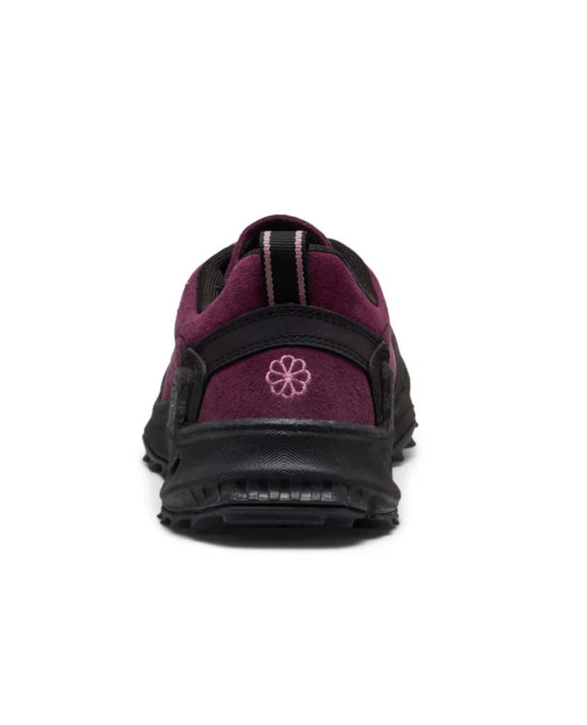 Zapatillas Keen Jasper Zionic M - Fig/Lilas