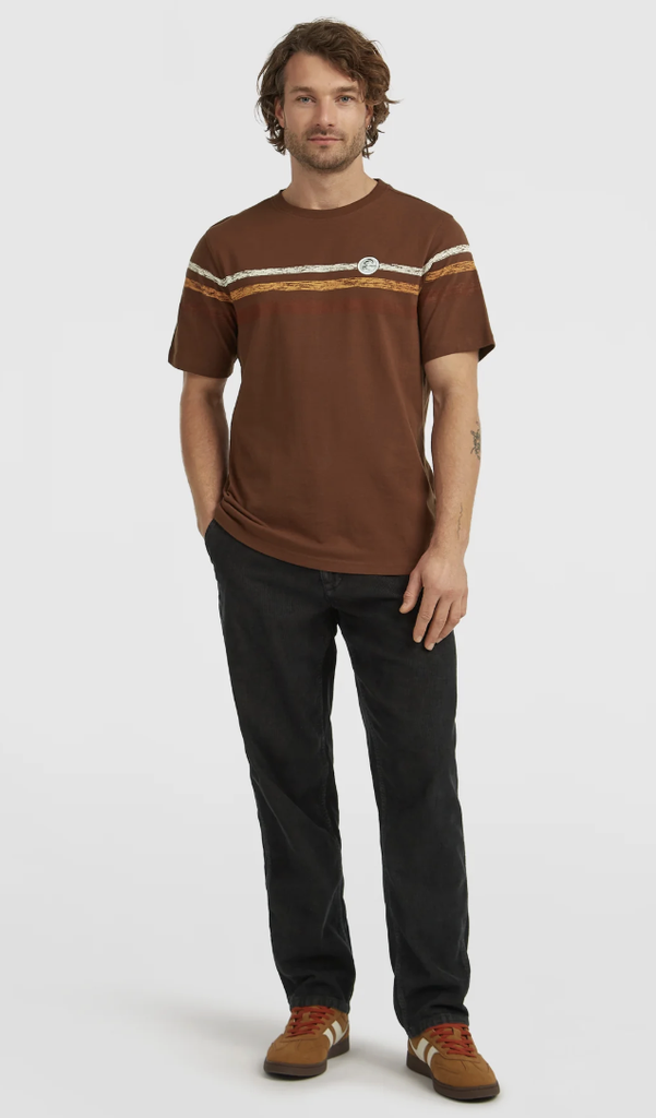 Camiseta O'neill O'Riginal Stripe T-Shirt