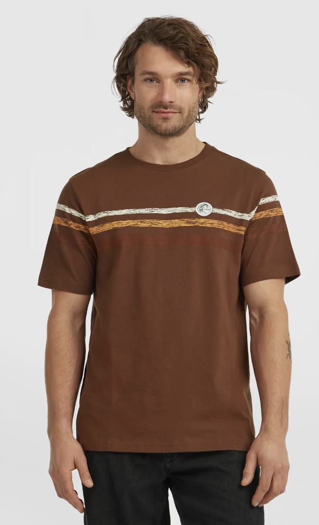 Camiseta O'neill O'Riginal Stripe T-Shirt