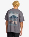 Camiseta Billabong Grow Og A/div - Grey Violet