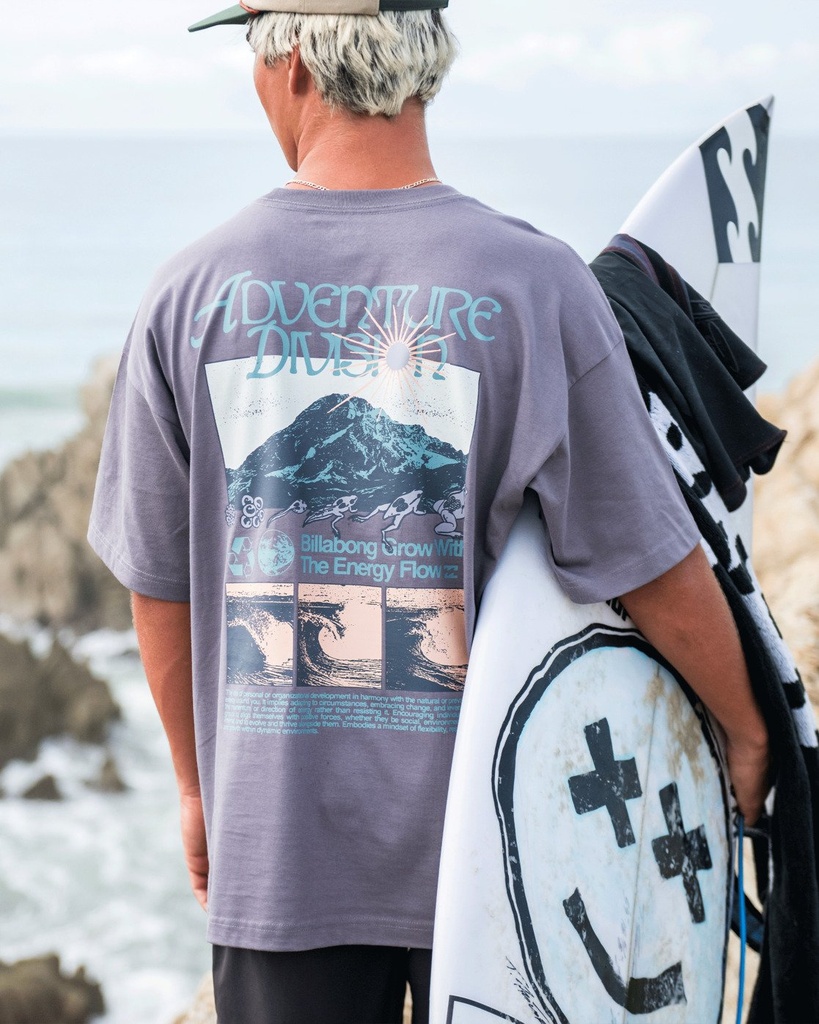 Camiseta Billabong Grow Og A/div - Grey Violet