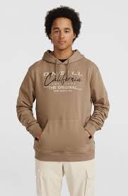 Sudadera O´neill Cali Hoodie - Brown (Concrete)