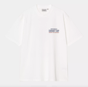 Camiseta Carhartt WIP Arcan - White (heavy stone wash)