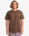 Camiseta Billabong Arch Crew - Dark Cedar