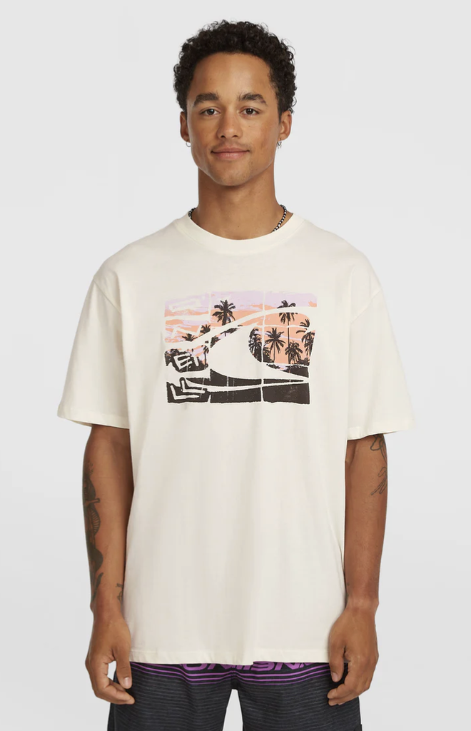 Camiseta O'neill Gradient - Snow White