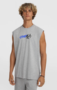 Camiseta Sin Mangas O'neill Essentials 90s Graphic - Silver Melee