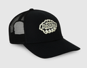 Gorra Dickies Irondale - Black