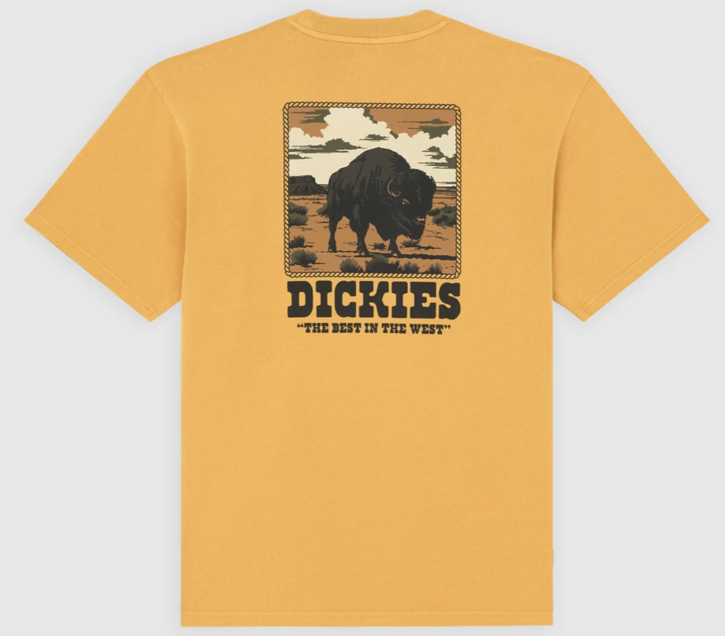 Camiseta Dickies Darrtown - Sunflower
