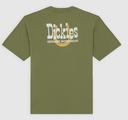 Camiseta Dickies Vernal - Cypress