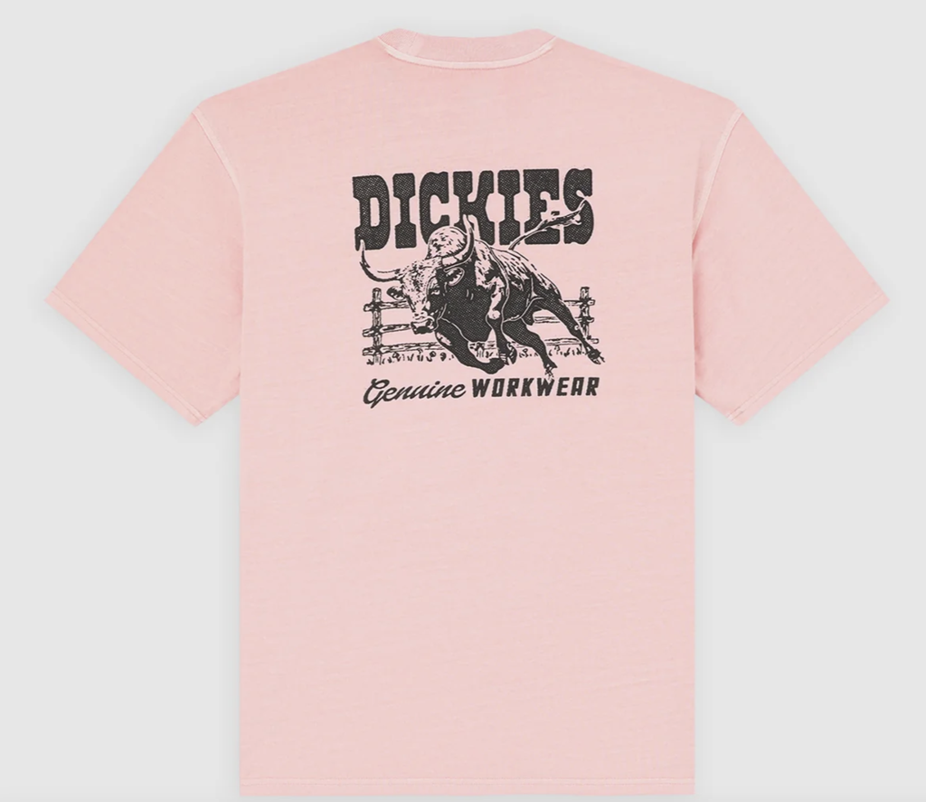 Camiseta Dickies Buchtell - Bridal Rose