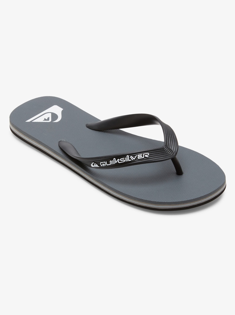 Chanclas Quiksilver Molokai Core - Grey