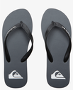 Chanclas Quiksilver Molokai Core - Grey 1