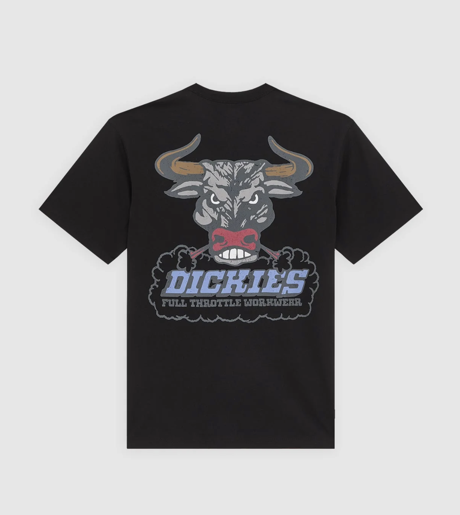 Camiseta Dickies  Lakeridge - Black