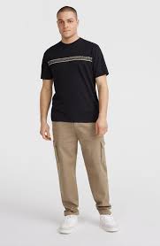 Camiseta O´neill Ikat Stripe T-Shirt - Black (Black Out)