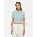 Camiseta Dickies Maple Valley (Mujer) - Azul Claro