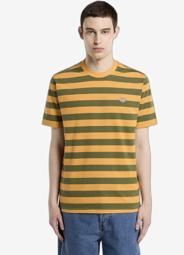 Camiseta Dickies Rivergrove - Cypress