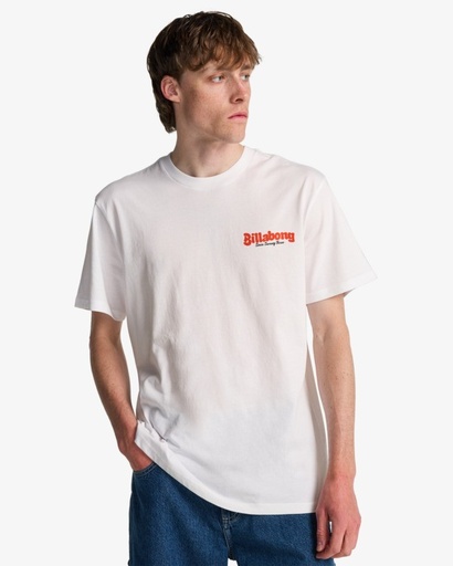 Camiseta Billabong Origin - White (wht)