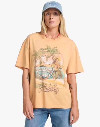 Camiseta Billabong Vibe Time - Clay (cly)