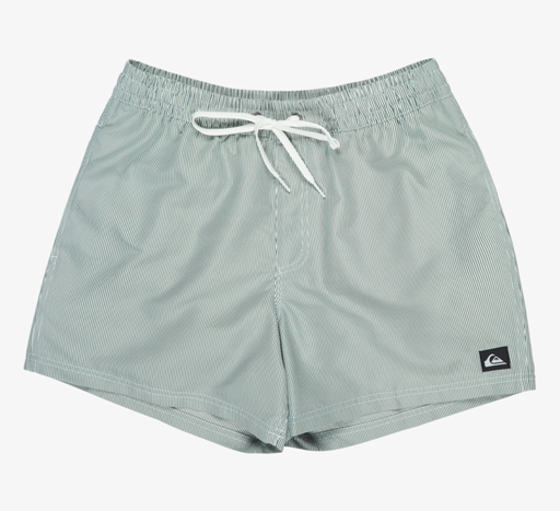 Bañador Quiksilver Everyday Deluxe 15" - Forest (grt0)