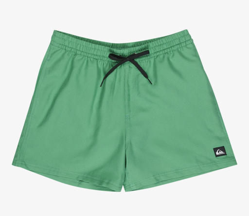 Bañador Quiksilver Everyday Deluxe 15" - Leprechaun (gnz0)