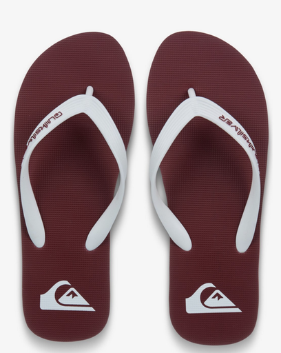 Chanclas Quiksilver Molokai Core - Burnt Russet