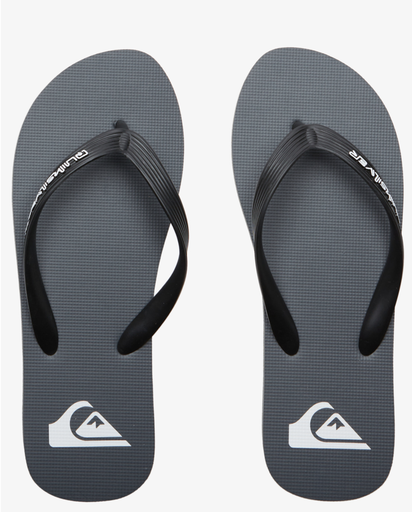 Chanclas Quiksilver Molokai Core - Grey
