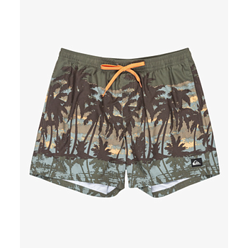 Bañador Quiksilver Everyday Straight 15" - Grape Leaf Tropicamo (Cre8)
