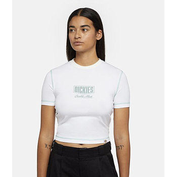 Camiseta Dickies Philipsburg Slim Tee